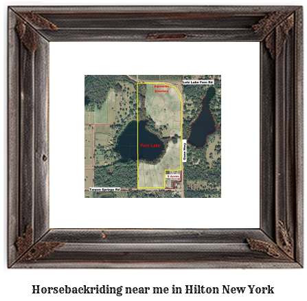 horseback riding near me in Hilton, New York